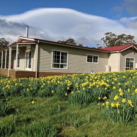 Mountain Blue Guest House Deloraine Exterior photo